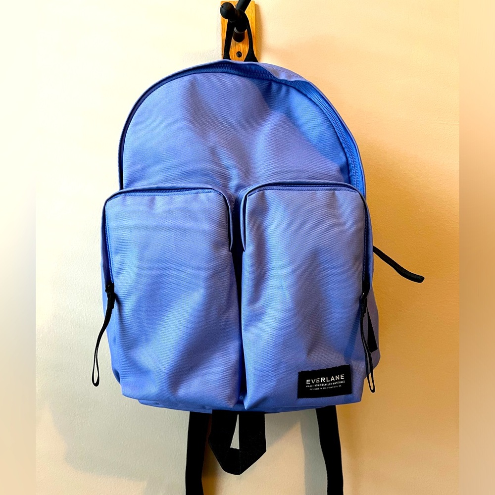 Beautiful everlane backpack